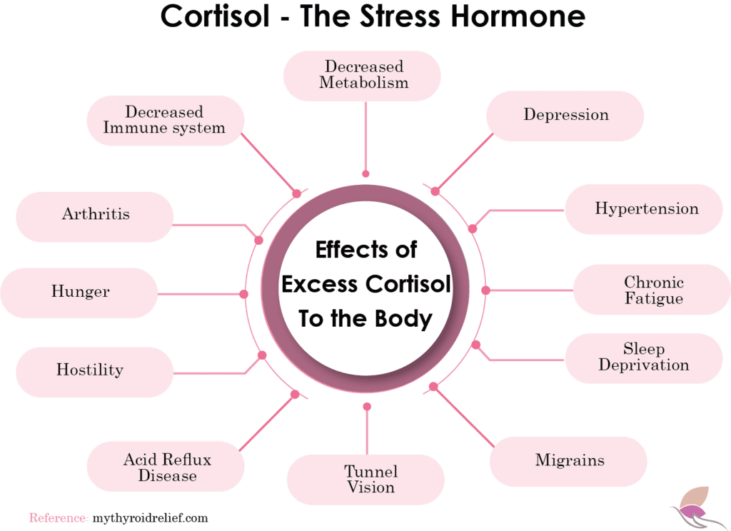 Cortisol - The Stress Hormone