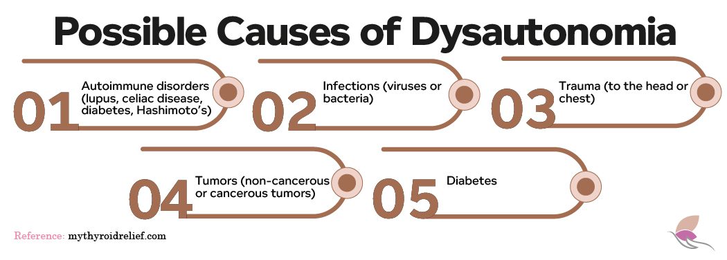 Dysautonomia and Hashimoto’s disease