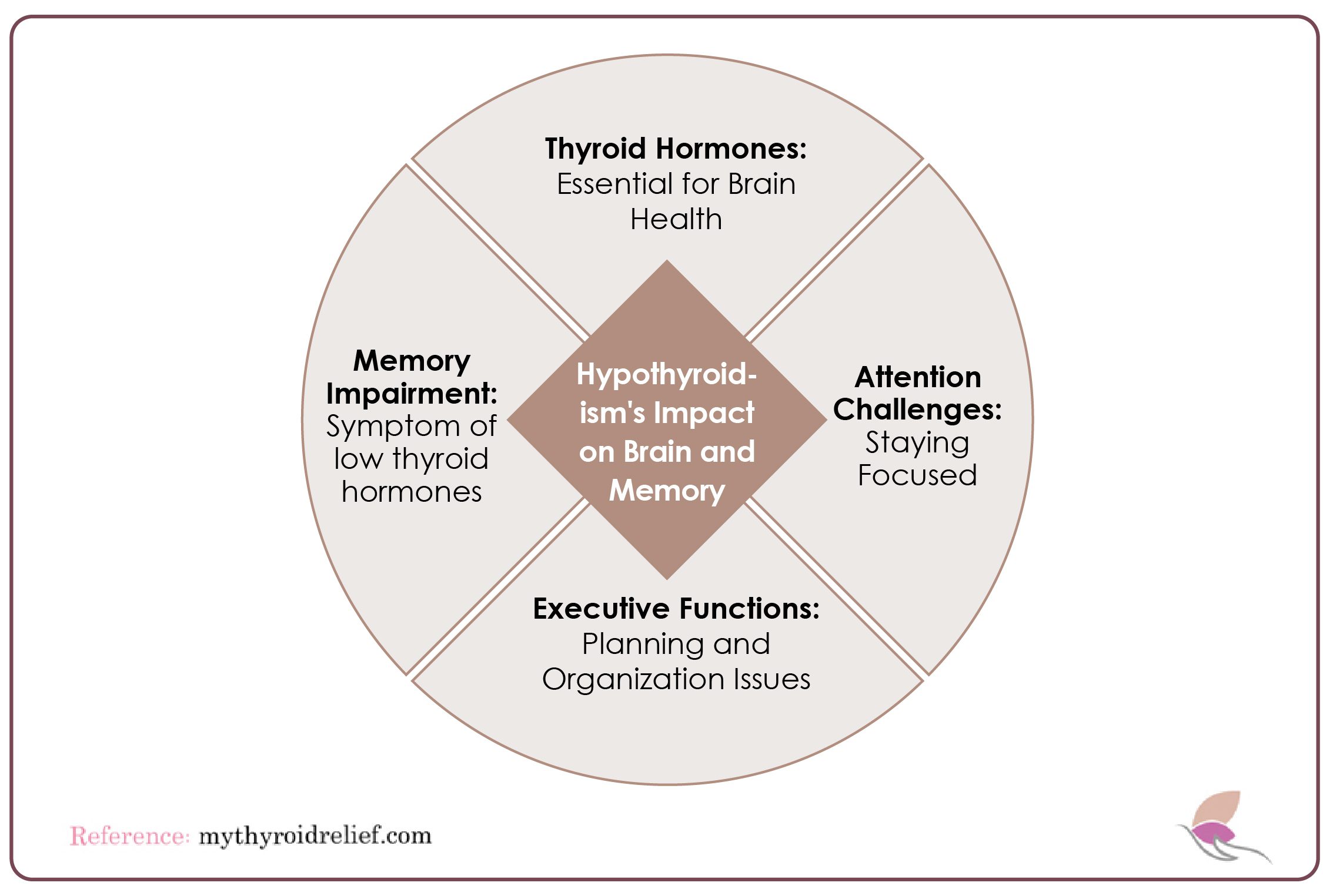 How Does Hypothyroidism Affect Specific Brain Structures?