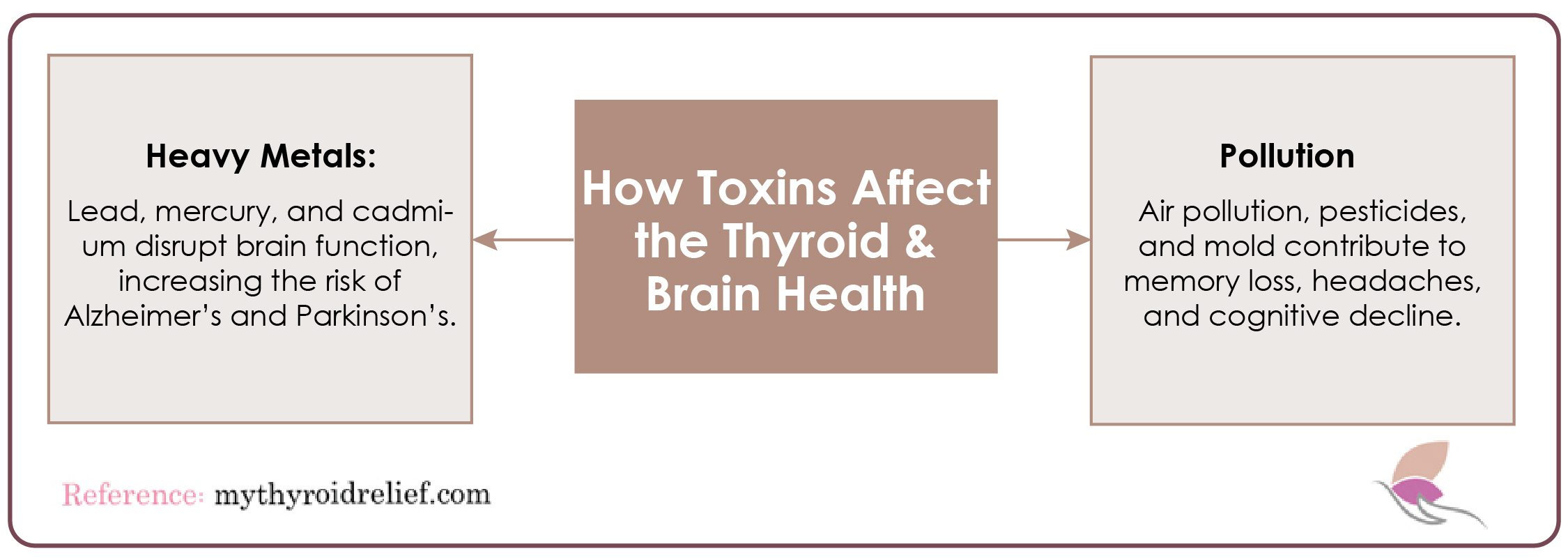 Impact of Toxins on Brain Health and Detoxification