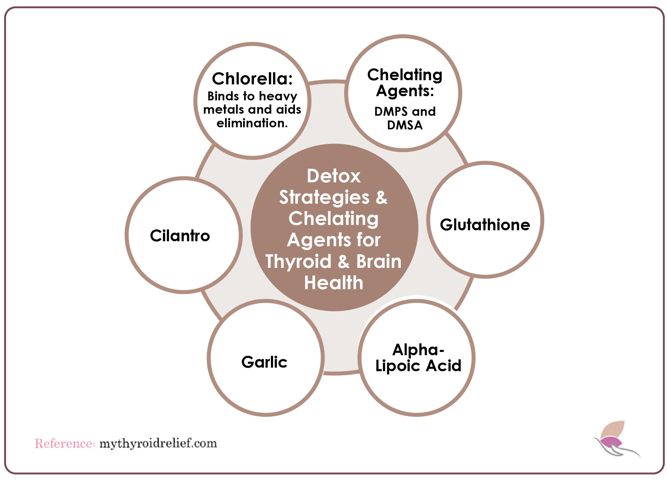Detox Strategies and chelating agents for thyroid and brain health