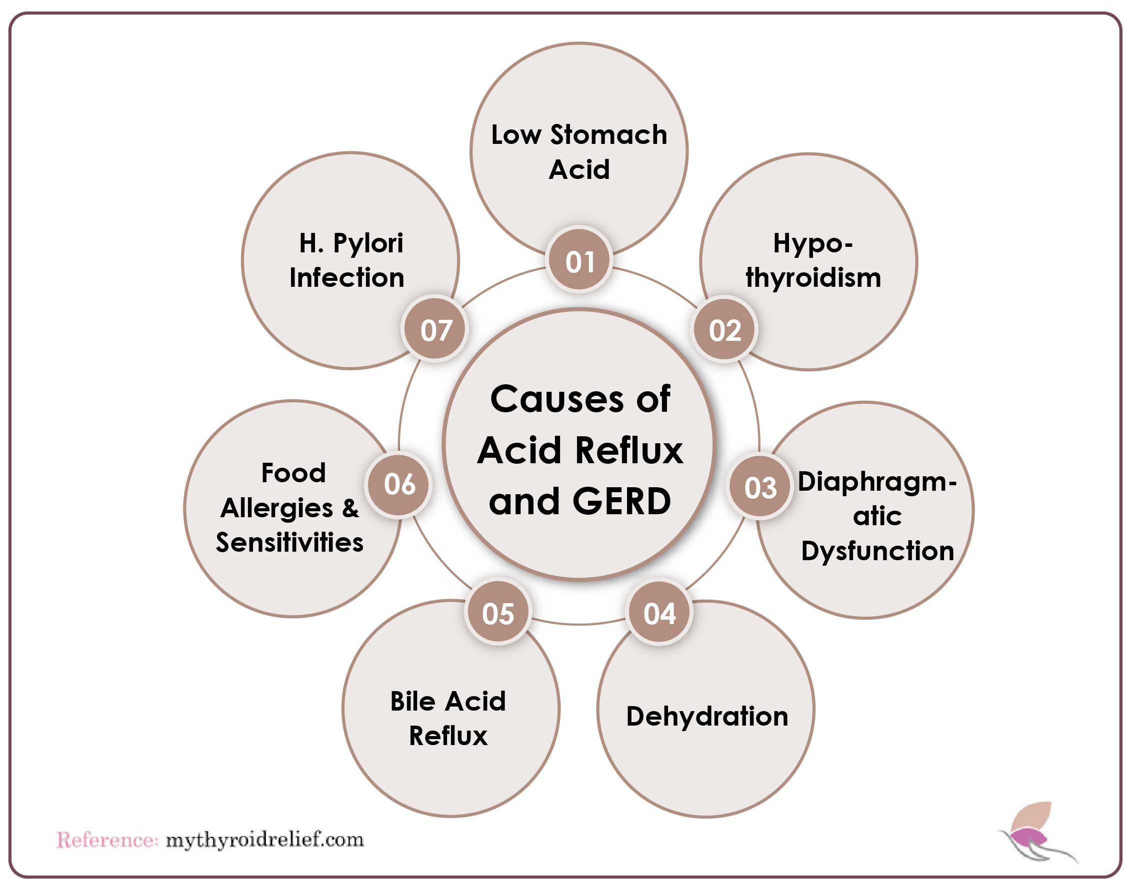 Causes of Acid Reflux and GERD?