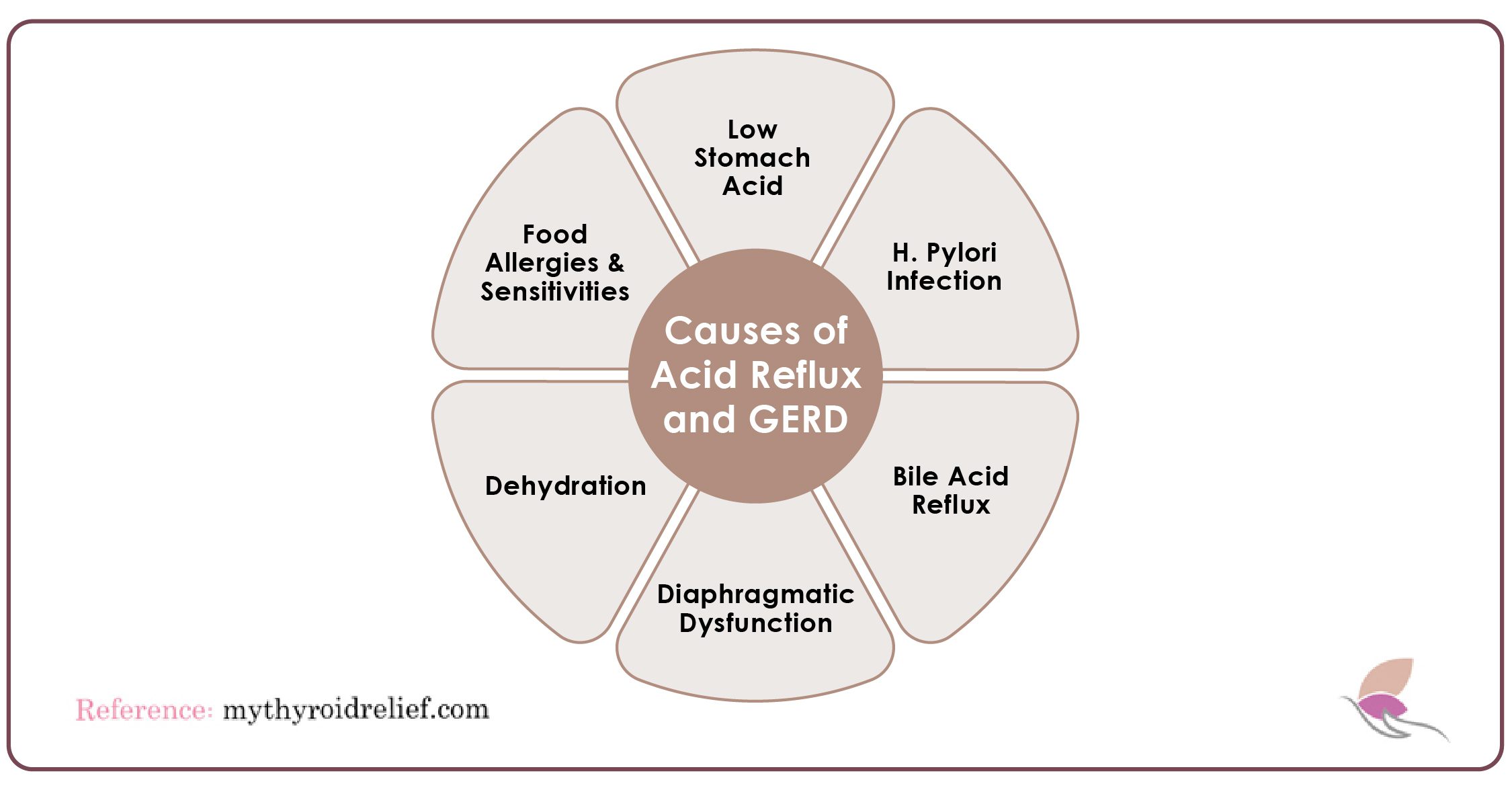 Causes of Acid Reflux and GERD