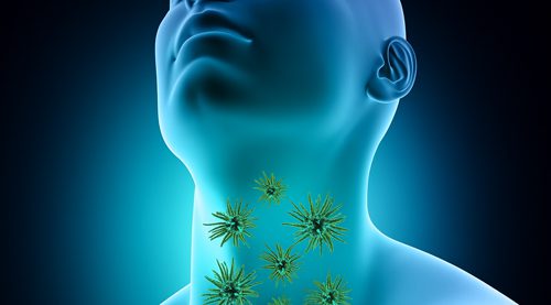 Hashimoto’s immune function